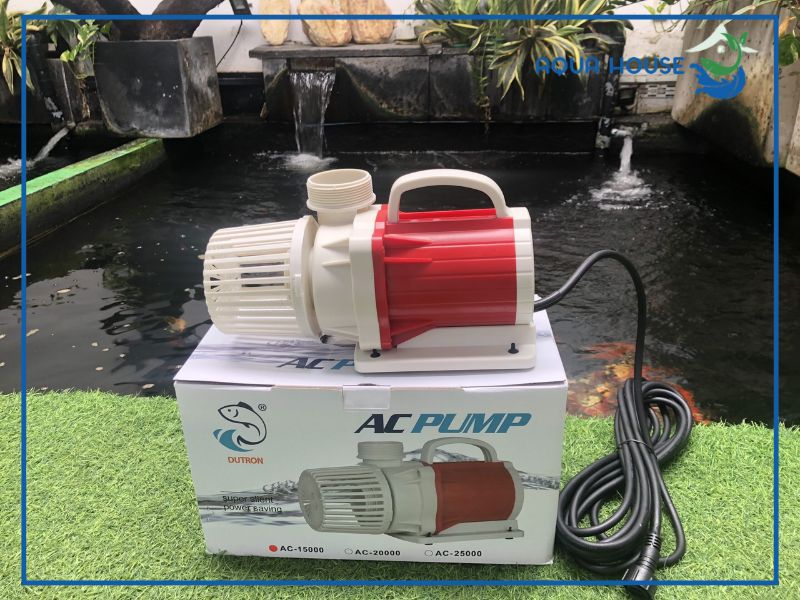 Vì sao máy bơm hồ cá 5000L/h được xem là sự lựa chọn tối ưu?