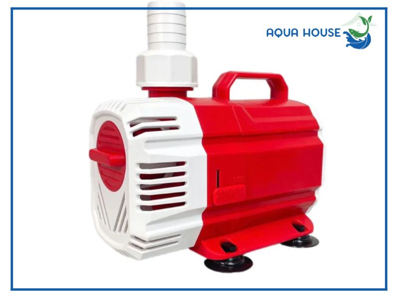 Tiêu chuẩn chọn mua máy bơm hồ cá 5000L/h đạt chuẩn kỹ thuật