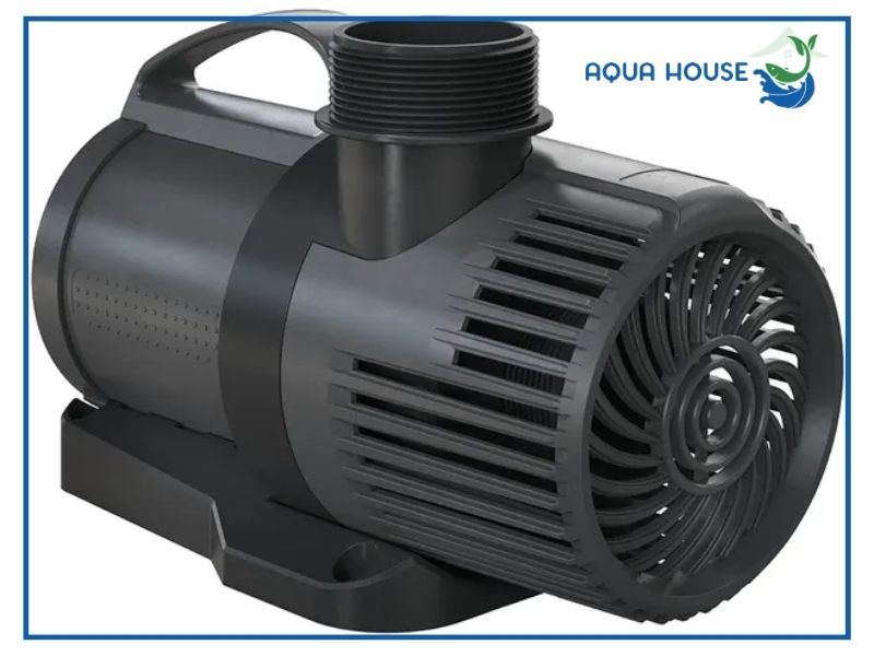 Top những mẫu máy bơm hồ cá Koi 10 khối tốt nhất 2026 nên tham khảo